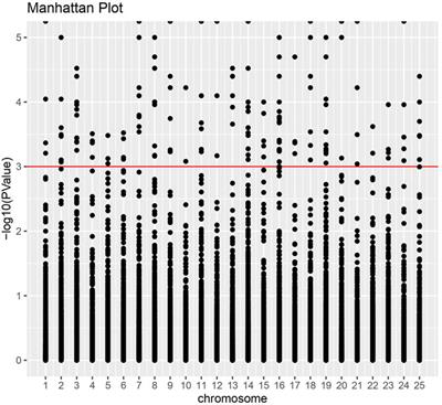 Identification of differentially expressed genes and SNPs linked to harvest body weight of genetically improved rohu carp, Labeo rohita